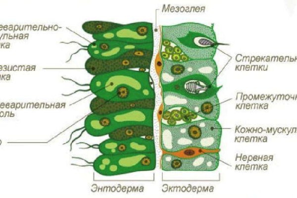 Кракен даркнет тор