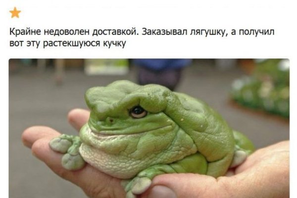 Kraken url